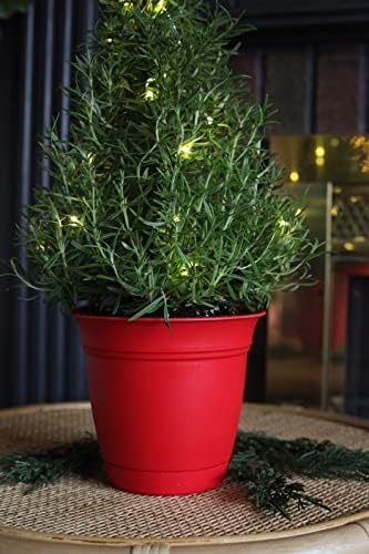 The HC Companies Eclipse Round Planter with Saucer - Outdoor & Indoor Plant Pot with Drainage Holes - Lightweight