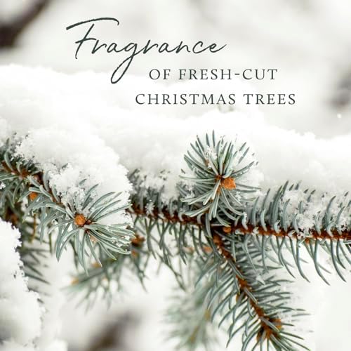 Thymes Frasier Fir Candles - Statement Collection - Silver with Pine Needle Design - Scented Candles for Home Decor - Notes of Siberian Fir Needles, Cedarwood & Sandalwood - Large 4 Wick (40 oz)