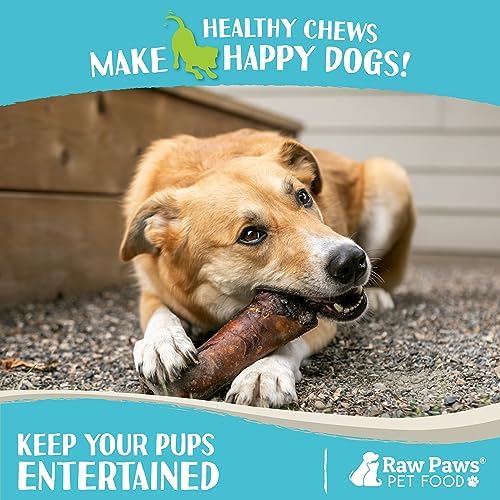 Raw Paws Smoked Beef Marrow Bones for Dogs, 5-6-Inch (4-Count) - Dog Chews