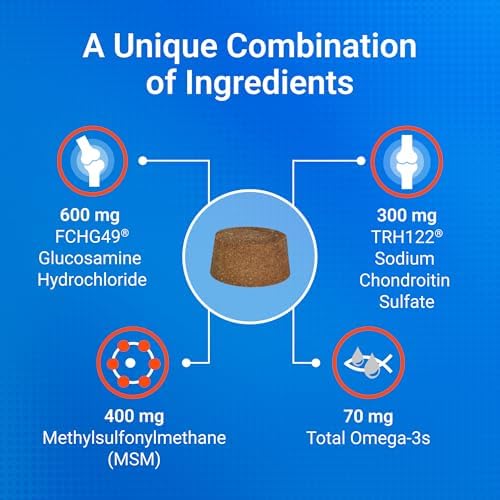 Nutramax Cosequin Dog Joint Supplement, Skin & Coat, Soft Chews, 60ct | Glucosamine & Chondroitin for Dogs with MSM, Omega-3s, Supports Joints