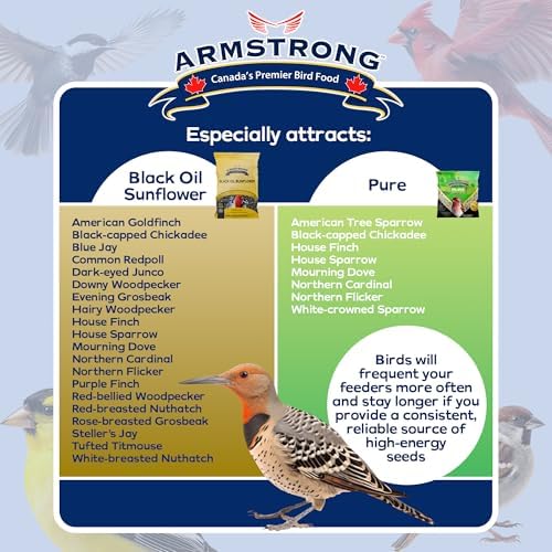 Armstrong Wild Bird Food Royal Jubilee Pure Bird Seed Blend, 20 Pounds - No-Mess, No-Sprouting Formula for Clean & Easy Feeding