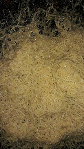 White worm Starter culture Organic fish/frog/newt food