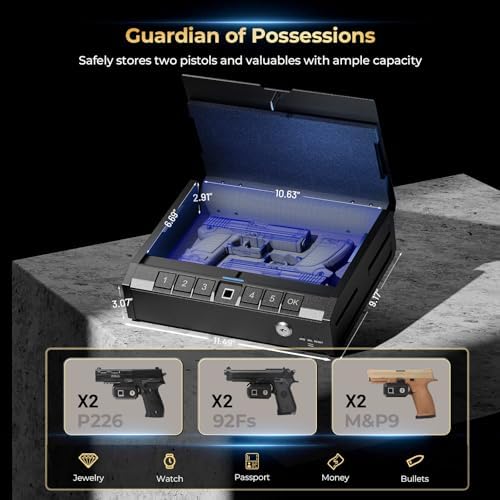ONNAIS Iron SE Biometric Gun Safe for Handgun with Fingerprint Keypad Lock