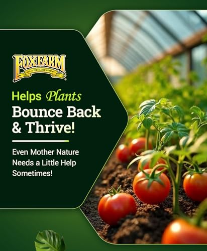 FoxFarm Bush Doctor Boomerang - 2-0.2-0.3 Comeback Formula - Microbial-Based Liquid Plant Fertilizer for Root Zone Support, Immediate Nutrient Uptake - Helps Plants Recover from Abiotic Stress-1 Pint