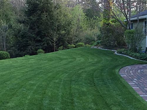 Natural Alternative Grass Seed for Shady Areas 5 LB. (14005 - Made in The Shade)
