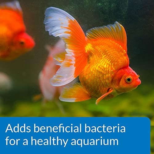 API GOLDFISH PROTECT Aquarium Water Conditioner 4-Ounce Bottle