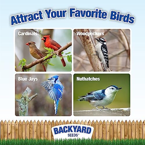 Backyard Seeds Cardinal Frenzy Bird Seed Mix - 5 lb - Premium Black Oil Sunflower & Safflower Blend - High-Energy Wild Bird Food for Cardinals, Finches, Grosbeaks - Resealable Bag (5 Pounds)