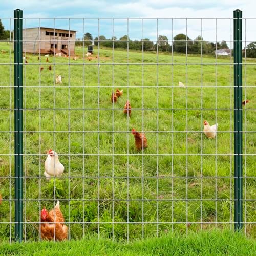 16GA Galvanized 48in x 25ft-3in x 2in Welded Wire Mesh Garden Economy Fence