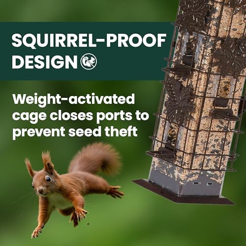 Perky-Pet Squirrel-Be-Gone Bird Feeder, 2 lb Seed Capacity | Weight-Activated Squirrel Proof Bird Feeder