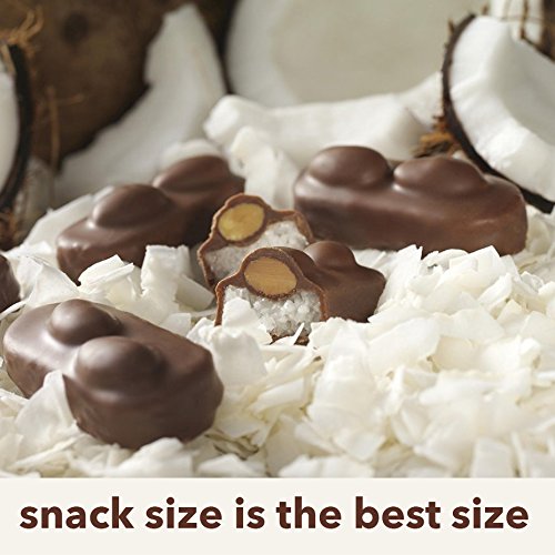 ALMOND JOY Coconut and Almond Chocolate Snack Size, Candy Bars, 0.6 oz (8 Count)