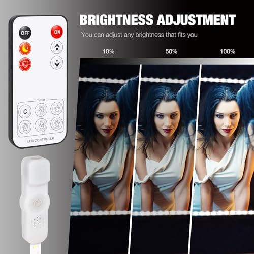 Led Vanity Mirror Lights Kit, ViLSOM 13ft/4M 240 LEDs Make-up Vanity Mirror