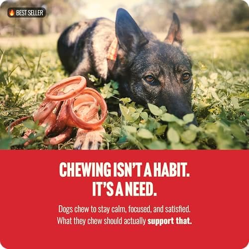 Natural Farm Odor Free Bully Sticks Ring Shaped (3-4 Inch, 10 Pack) - 100% Beef Chews for More Engagement & Fun, Grass-Fed, Non-GMO