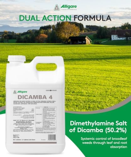 Alligare Dicamba 4 for Corn, Soybean, Cotton, Sugarcane, Turf & More - Powerful Weed Control - Water-Soluble Dicamba Herbicide