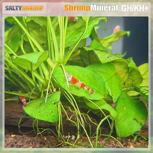 Shrimp Mineral GH/KH+ 100g