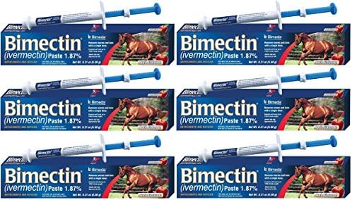 Ivermectin Paste Horse Wormer (1.87 Ivermectin) - 6 DOSES, Model: , Home & Outdoor StoreQ