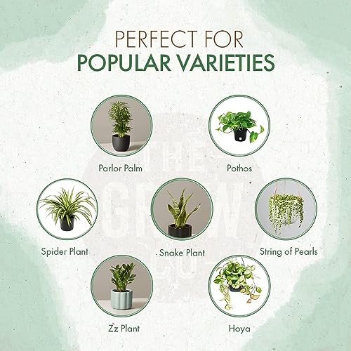 Indoor Plant Food, Slow Release Formula for Houseplants, 5oz