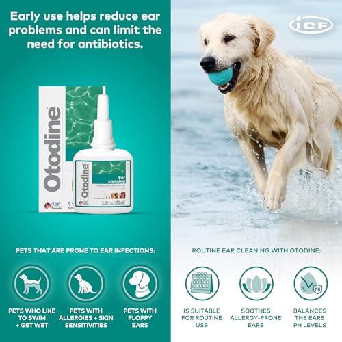 ICF Otodine Dog Ear Cleaner Solution Drops for Itchy Ears, Infections, Head Shaking, Scratching, Wax