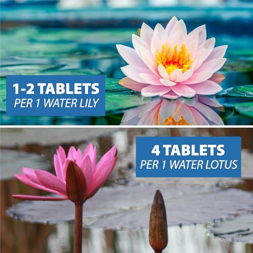 CrystalClear Thrive Pond Plant Food, Fish Safe Fertilizer, 200 Tablets | For aquatic water gardens, nutrients boost lily & lotus flower bloom and root growth