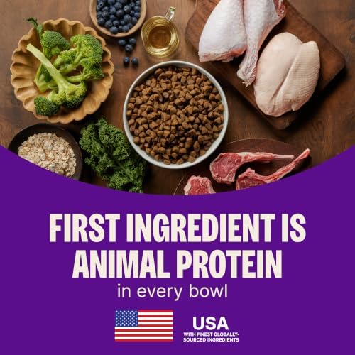 Wellness CORE Puppy Dry Dog Food, Grain Free Kibble, Natural, High Protein, Chicken and Turkey Recipe, 4 lb Bag