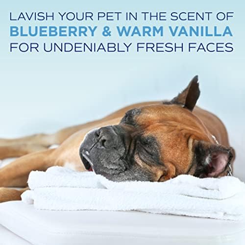 TropiClean SPA Tear Stain Remover for Dogs, Blueberry Facial, 2.5 Gallon