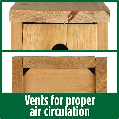Nature's Way Cedar Box Wren House with Clean-Out Door, Wild Bird House and Outdoor Décor, Brown