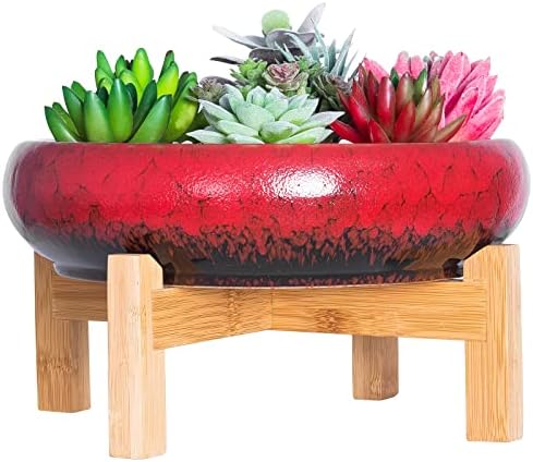 Succulent Pot, 10'' Ceramic Pots for Indoor Plant Shallow Succulent Planter