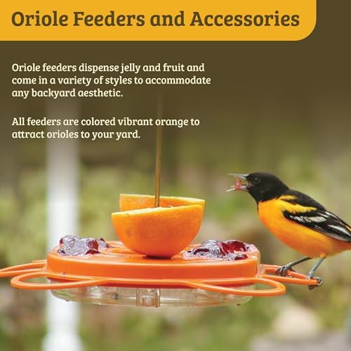 Birds Choice Flower-Shaped Oriole Feeder for Jelly & Oranges | 3oz, Orange | Removable Cup and Fruit Pegs with Heart Ornament, Sturdy for Garden and Backyard, Orange Finish
