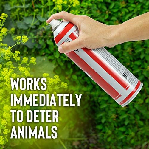 Squirrel Stopper Repellent Spray - Chipmunk & Squirrel Deterrent for Bird Feeders, Garden & Homes - Weather-Resistant Formula - Scent, Taste & Touch Barrier - Safe Around Kids & Pets - 32oz