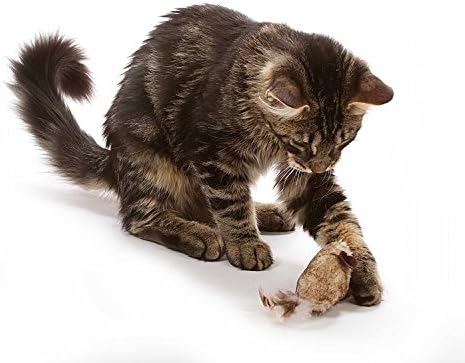 OurPets Play-N-Squeak Twice the Mice Cat Toy, 2 Piece Set, Catnip Filled | Real mouse sound effect, electronic squeaker inside, sparks hunting instinct, engaging design, for indoor felines every day