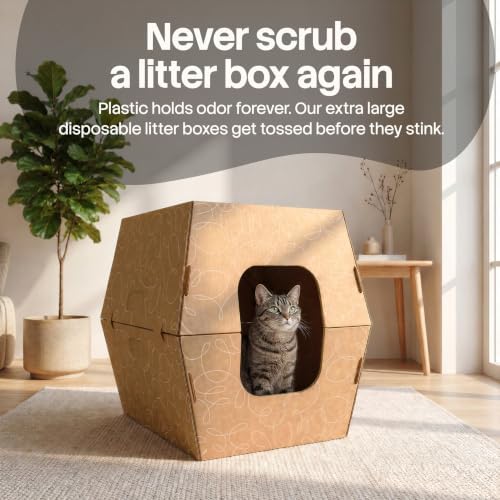 Cats Desire - Disposable Litter Boxes for Cats
