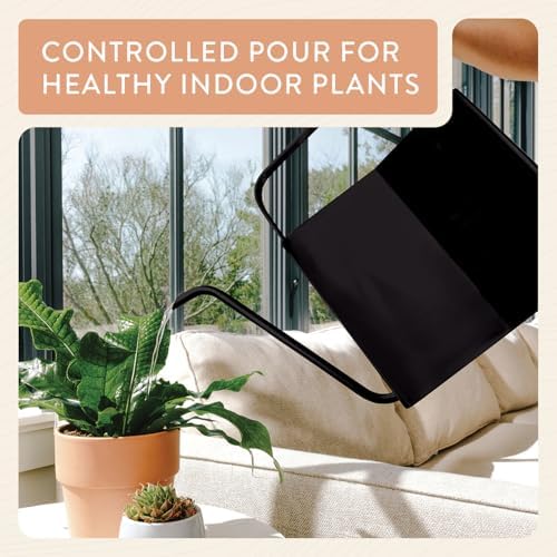 Modern Sprout Brass Watering Can - 3L Stainless Steel - Long Spout (Black)