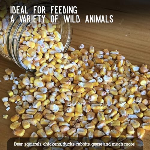 Ernst Grain & Livestock Whole Corn – Perfect Feed for Deer, Squirrels, Chickens, Ducks, Rabbits, Geese, and More! (46 Pound)