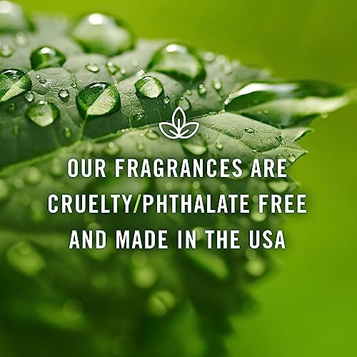 P&J Trading Fragrance Oil | Cedar Oil 30ml - Candle Scents for Candle Making, Freshie Scents, Soap Making Supplies, Diffuser Oil Scents