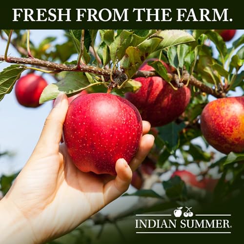 Indian Summer 100% Tart Cherry Juice, Montmorency Cherry Juice, 46 Ounce (Pack of 8)