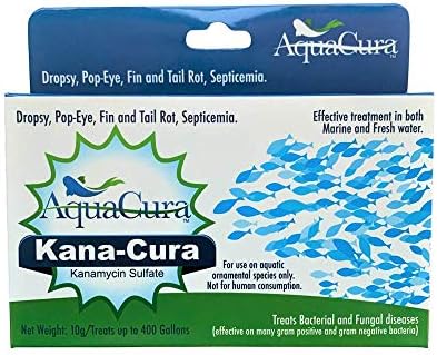 Kana-Cura
