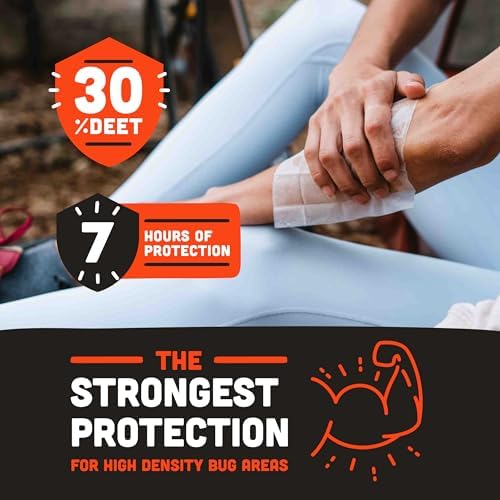 Ben's Tick & Insect Repellent Wipes, 30% DEET, 12 Wipes, 4 Pack