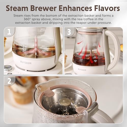 BUYDEEM K2423 Tea Maker, 5 Temperature Settings, Removable Infuser, 1.2L