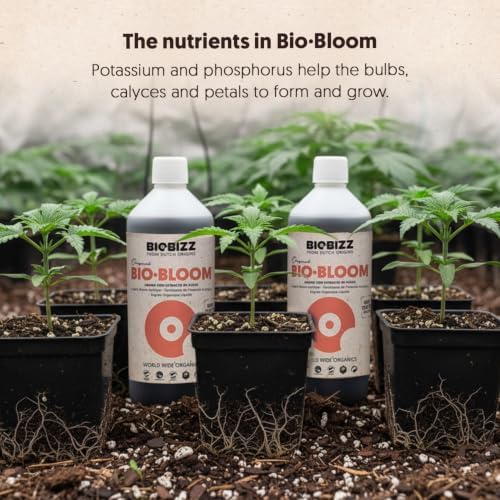 BioBizz 1L Bio-Bloom Liquid Fertiliser - Certified Organic Bloom Feed with Natural Sugar Beet Extract - Promotes Flowering, Fruiting & Resin Production - for Soil, Coco & Hydroponics