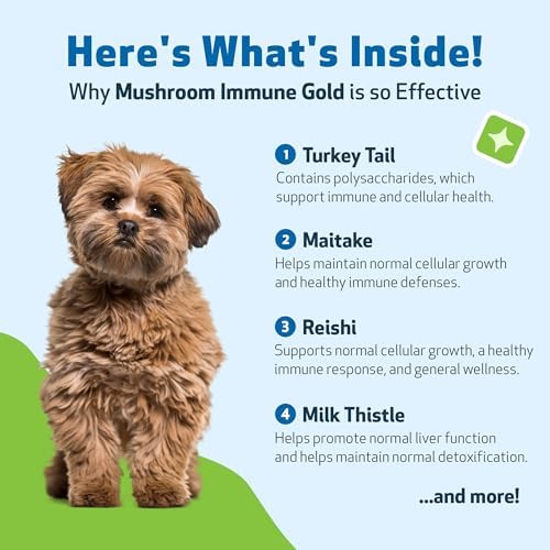 Pet Wellbeing Mushroom Immune Gold for Dogs - Immune Defense