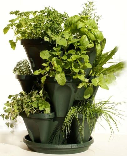 Mr. Stacky 3 Tiered Hunter Green Stackable Indoor Outdoor Vertical Herb Planter 1303