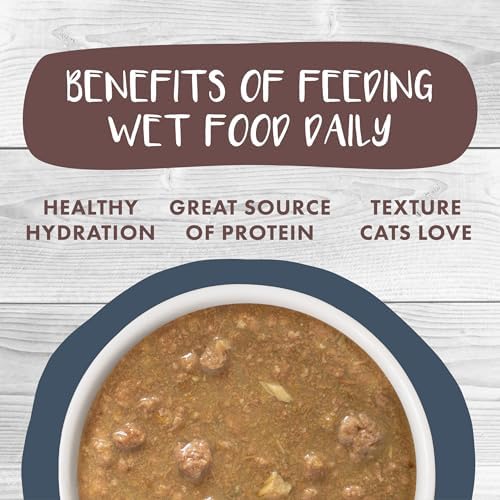 Weruva Classic Cat Stews!, Goody Stew Shoes with Chicken & Salmon in Gravy, 5.5oz Can (Pack of 8)