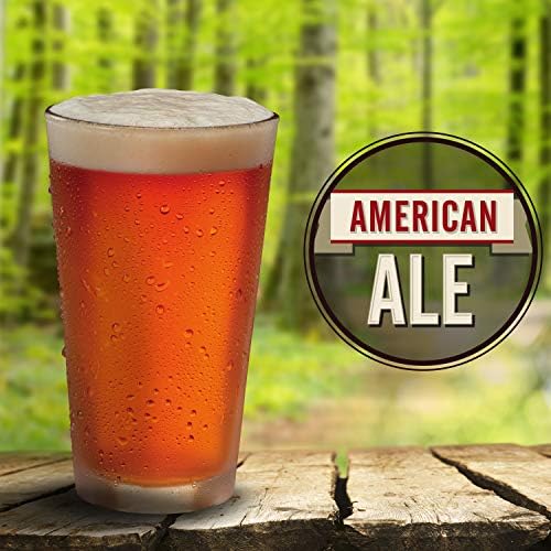 Mr. Beer St. Patrick’s Irish Stout 2 Gallon Homebrewing Refill