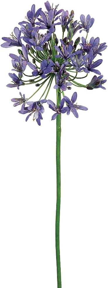 36" Agapanthus Spray Purple (Pack of 6)