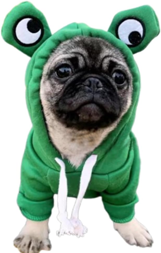 ANIAC Dog Hoodies Sweatshirt with Bunny Ears Spring Puppy Clothes for Small Dog Girl Boy Soft Doggy Sweater Cat Apparel Pet Clothing for Kitten