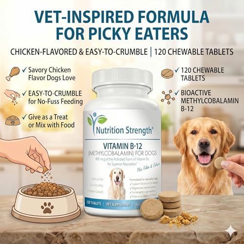 Vitamin B12 for Dogs Plus Folate & Calcium, Support the Nervous System & Blood Cell Formation