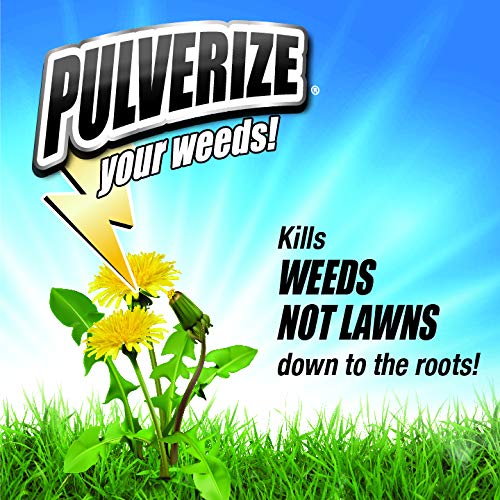 Weed Killer for Lawns Concentrate