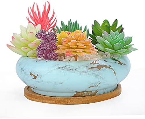 Succulent Pots, 7.3'' Large Bonsai Pots with Tray, Shallow Planters