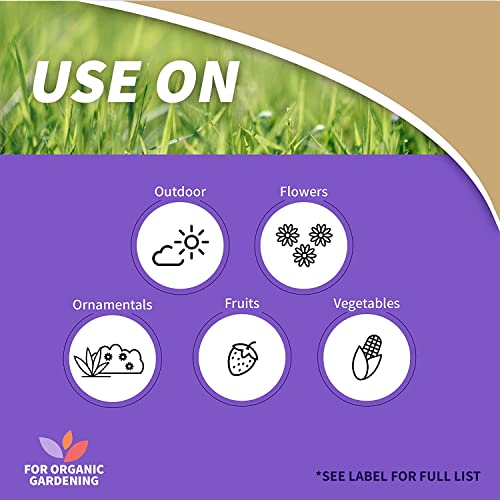 Bonide Captain Jack's Copper Fungicide, 32 oz Ready-to-Use Spray for Organic Gardening, Controls Common Diseases | For Organic Gardening, Controls Common Diseases on Plants