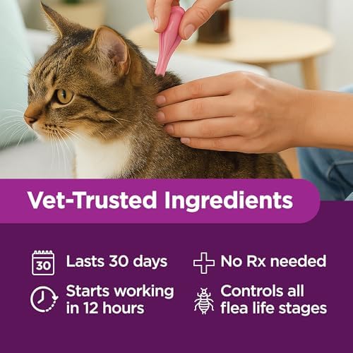 TevraPet Actispot II Flea Treatment for Small and Medium Cats 5-9 lbs | 6 Doses | Powerful Prevention and Control, Clear