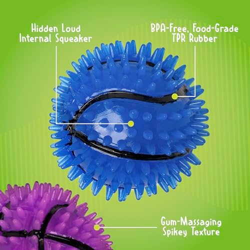 Gnawsome Dog Toys - 2.5-Inch Spiky Squeaker Basketball - Small - Dental & Gum Wellness - Stimulating Fun - Hidden Squeaker - Durable for Heavy